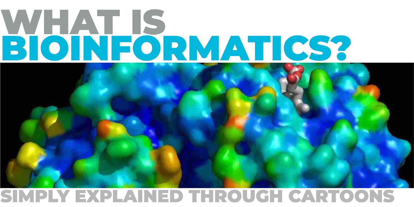 What is bioinformatics?